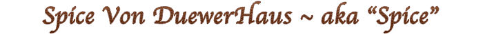 Spice title